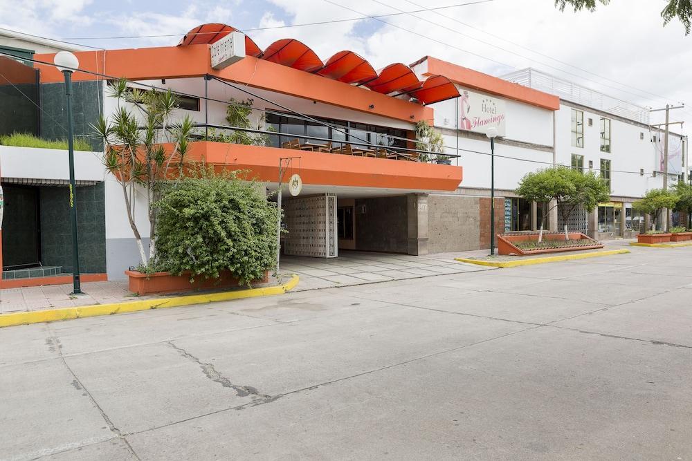 Hotel Flamingo Ирапуато Экстерьер фото