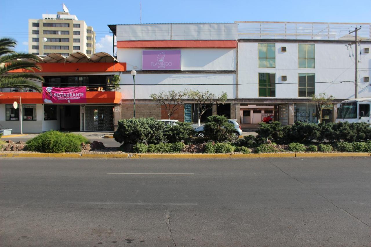 Hotel Flamingo Ирапуато Экстерьер фото